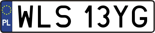 WLS13YG