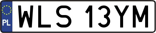 WLS13YM