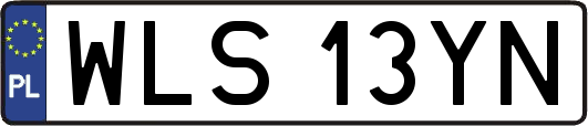 WLS13YN