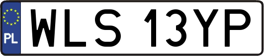 WLS13YP