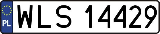 WLS14429