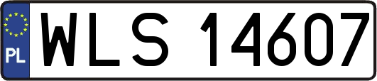 WLS14607