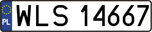 WLS14667
