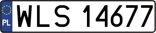 WLS14677