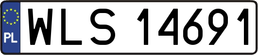 WLS14691