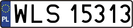 WLS15313