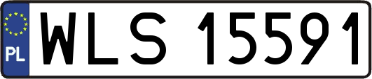 WLS15591