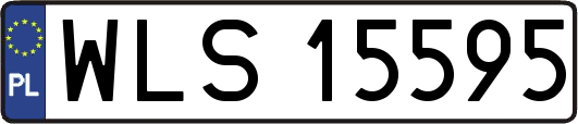 WLS15595