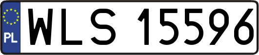 WLS15596