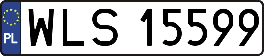 WLS15599