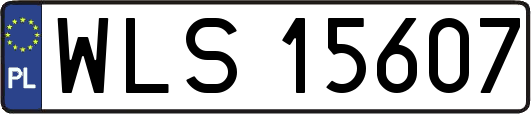 WLS15607