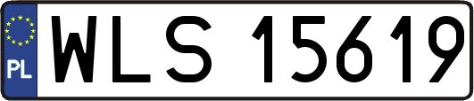 WLS15619