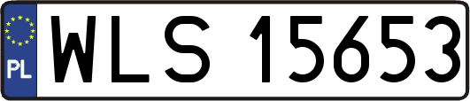WLS15653