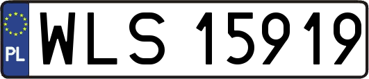 WLS15919