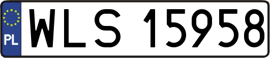 WLS15958
