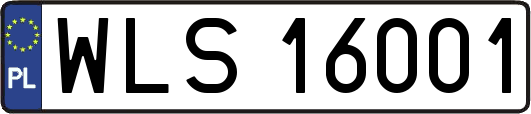 WLS16001