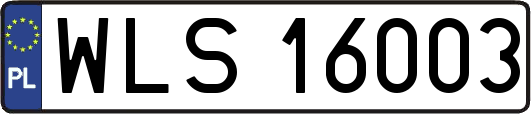 WLS16003