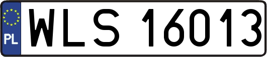 WLS16013