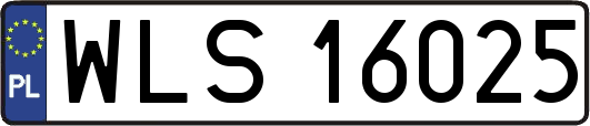 WLS16025
