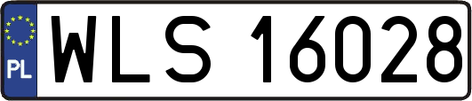 WLS16028