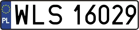 WLS16029