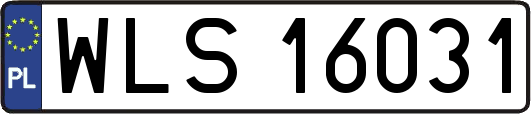 WLS16031