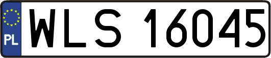 WLS16045