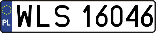 WLS16046
