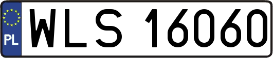 WLS16060
