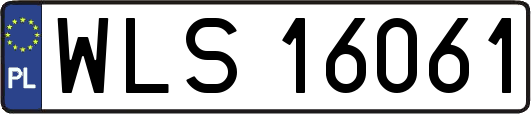 WLS16061