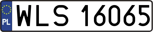 WLS16065