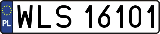 WLS16101