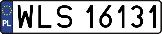 WLS16131