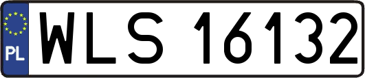 WLS16132