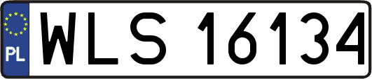 WLS16134