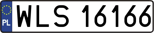WLS16166
