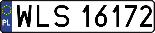 WLS16172