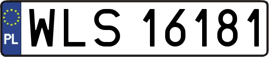 WLS16181