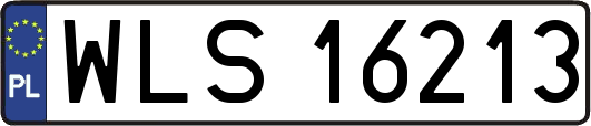 WLS16213
