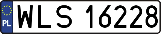 WLS16228