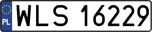 WLS16229