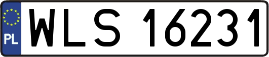 WLS16231