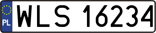 WLS16234