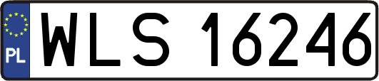 WLS16246