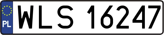 WLS16247