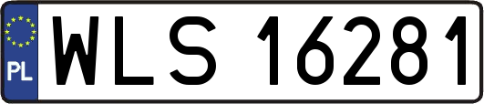 WLS16281