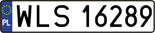 WLS16289