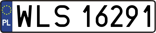WLS16291