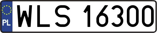 WLS16300