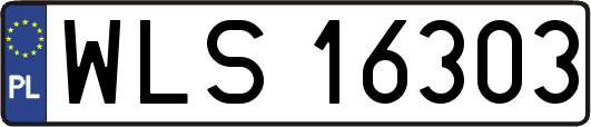 WLS16303